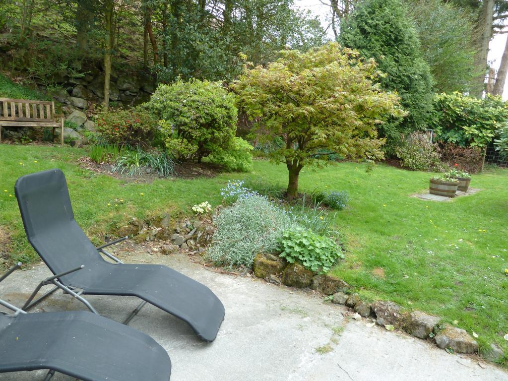 Llanwrtyd Wells Bronfelin & Troed-Y-Rhiw Holiday Cottage מראה חיצוני תמונה