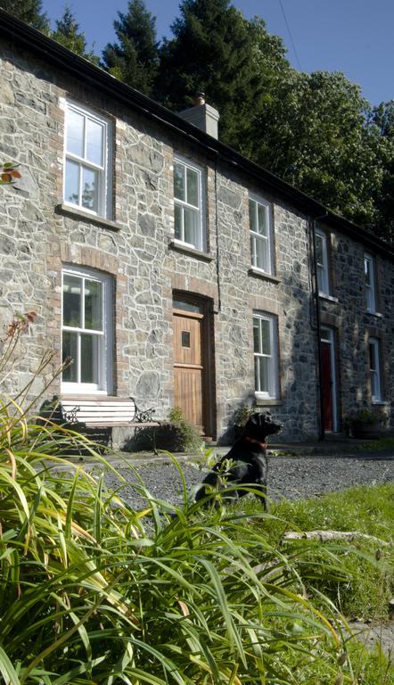 Llanwrtyd Wells Bronfelin & Troed-Y-Rhiw Holiday Cottage מראה חיצוני תמונה